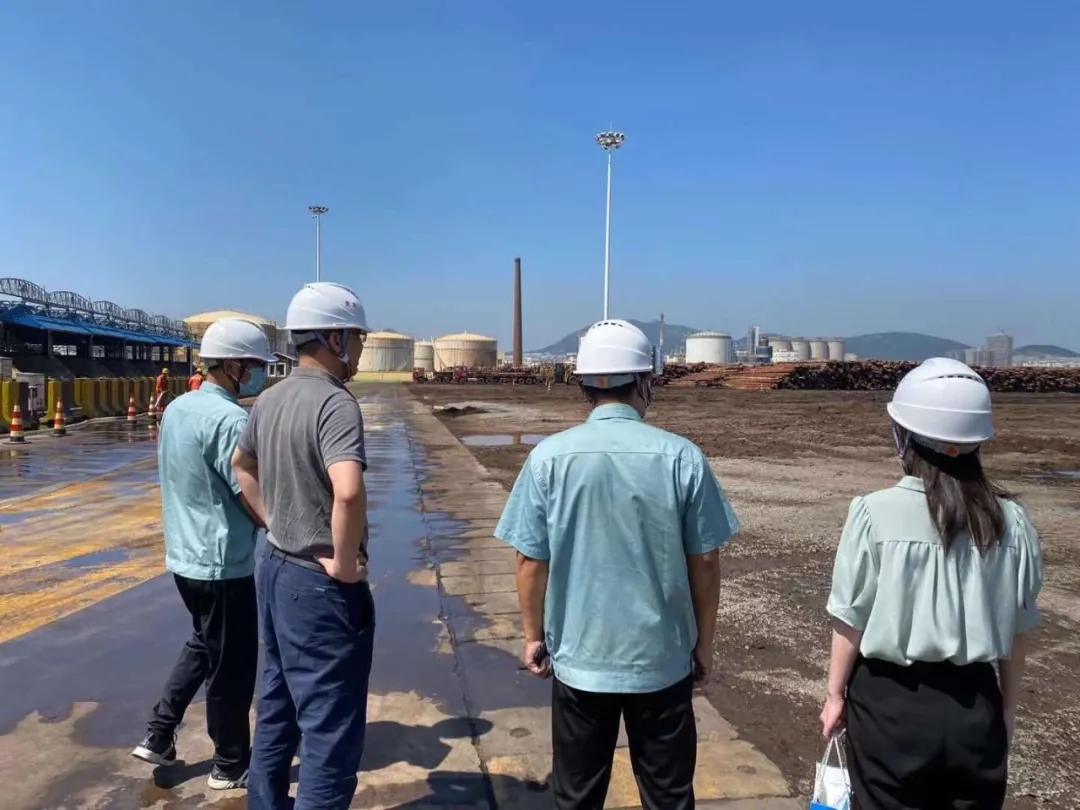 1631588960981774.jpg 2.webp.jpg